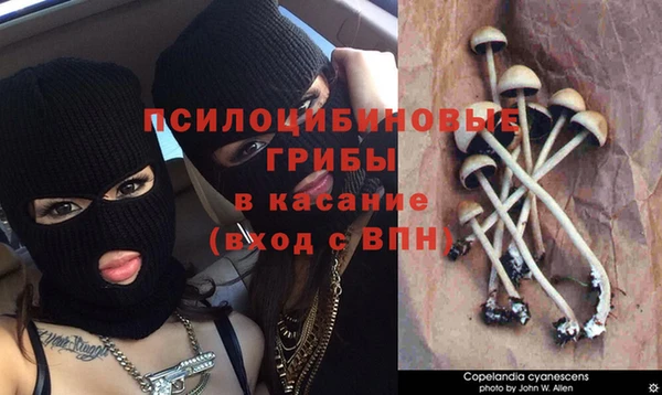 марихуана Алексин