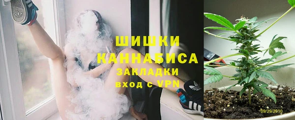 шишки Ростов